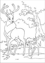 coloring page Bambi 2